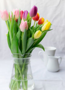MONSIEUR FLOWER - tulipes - Composition Florale