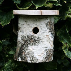 Wildlife world - natural silver birch tit box - Maison D'oiseau