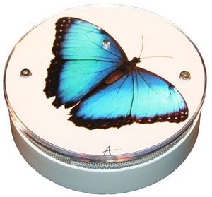AVISSUR - papillon bleu - Alarme Détecteur De Fumée