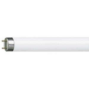 Philips - tube fluorescent 1381389 - Tube Fluorescent