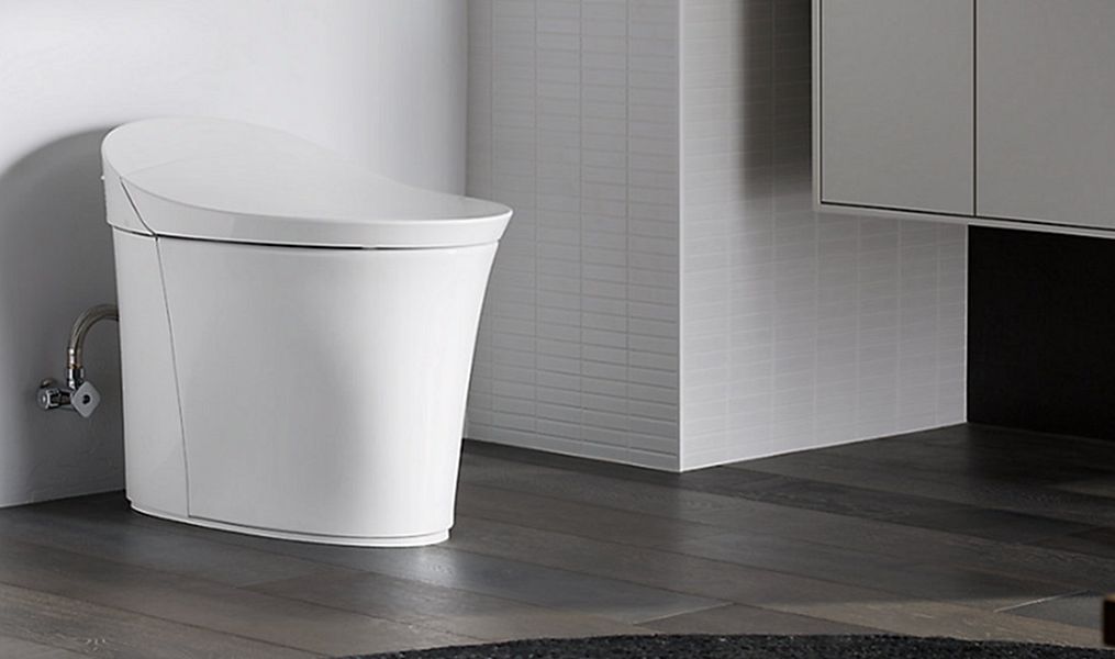 Kohler Toilet WCs & wash basins Bathroom Accessories and Fixtures  | 