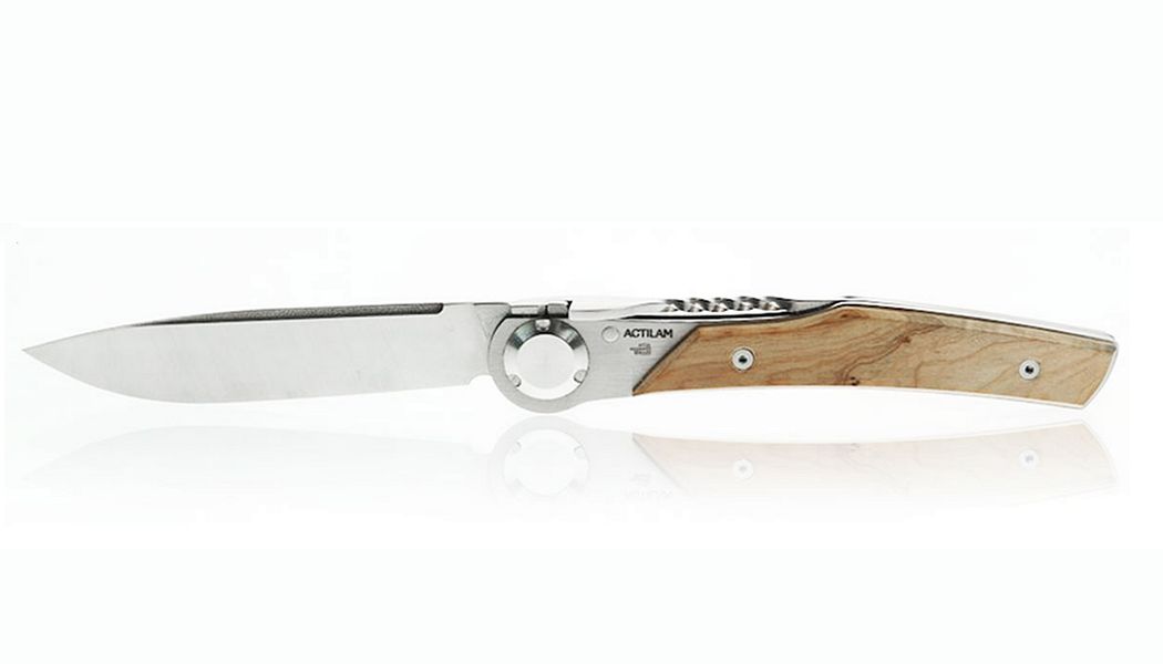ACTILAM Pocket knife Cutting and Peeling Kitchen Accessories  | 
