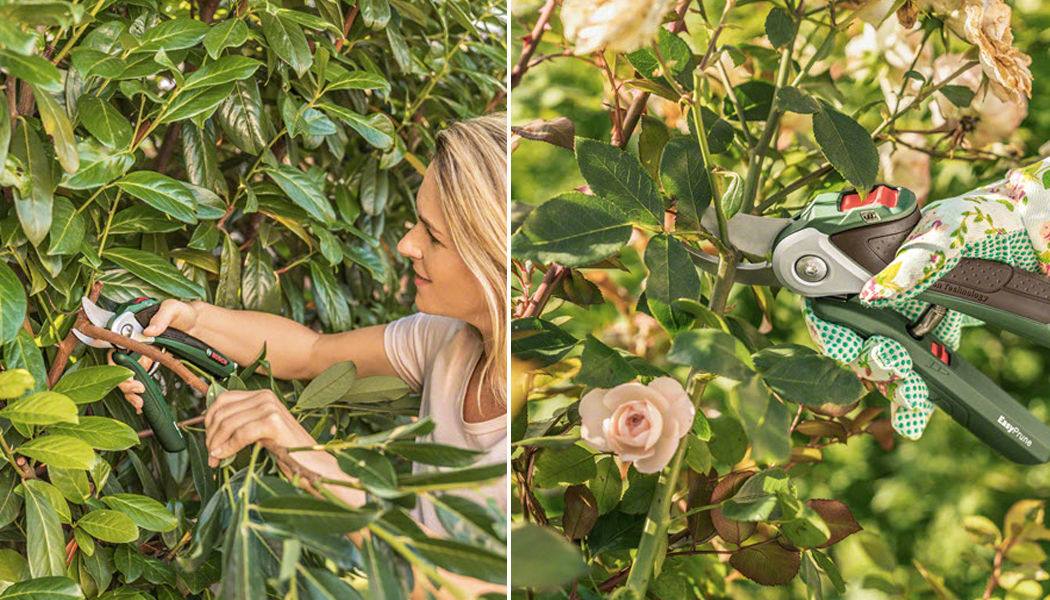 Bosch Outillage Garden shears Gardening accessories Outdoor Miscellaneous Garden-Pool | 
