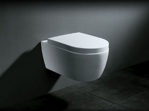  Wall mounted toilet