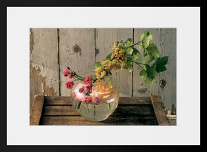 PHOTOBAY - roses et groseilles blanches - Photography