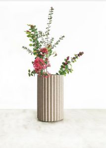 BOUTURES - --vaseo.. - Flower Vase