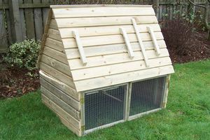 Pet Arks - the attic ark - Hen House