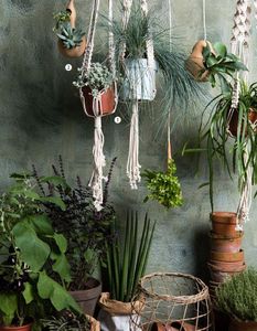 RESCUED! - the plant guy - Hanging Basket