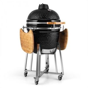ELECTRONIC STAR -  - Charcoal Barbecue