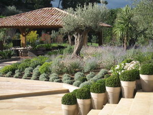 ARCHI PAYSAGE - pots - Landscaped Garden