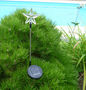 Garden candle holder-FEERIE SOLAIRE-Pic solaire etoile lumineuse 5 couleurs 76cm