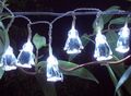 Lighting garland-FEERIE SOLAIRE-Guirlande solaire 20 leds blanches pingouins 3m80