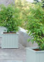 Versailles planter-LADIVINEJARDINE-Bac oranger