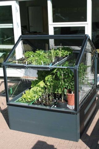 Growcamp - Mini greenhouse-Growcamp-Potager surélevé de 50cm avec serre  de jardin 120