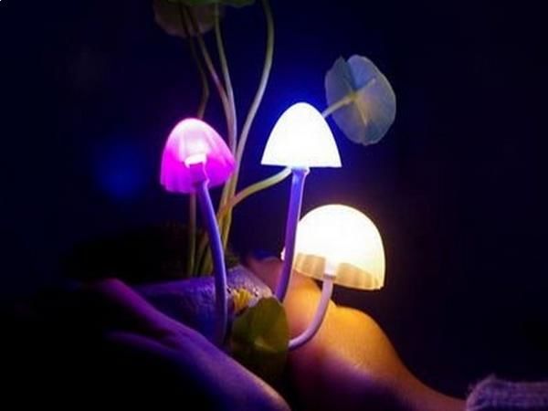 WHITE LABEL - Children's nightlight-WHITE LABEL-Veilleuse champignons à LED lumineux lumiere deco 