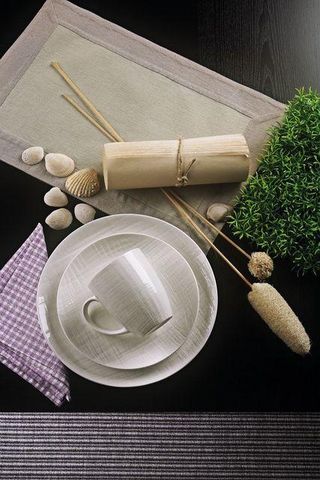 TOGNANA PORCELLANE - Dinner plate-TOGNANA PORCELLANE