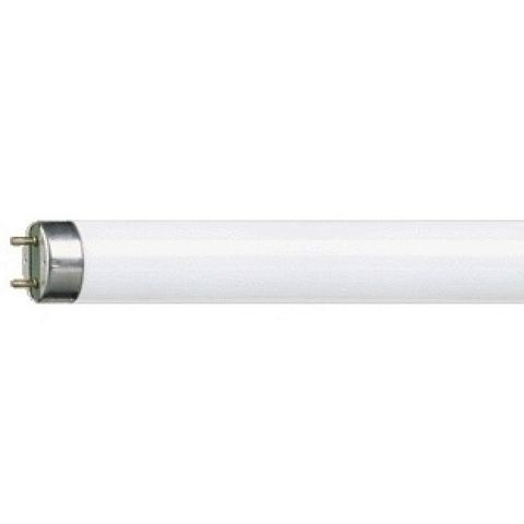 Philips - Neon tube-Philips-Tube fluorescent 1381389