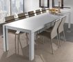 Mesa de comedor rectangular-WHITE LABEL-Table repas extensible WIND design blanc 120 cm