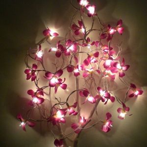 atoutdeco.com - guirlande lumineuse fleurs de frangipanier - Ghirlanda Luminosa