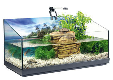 Tetra - Acquario-Tetra-Aquaterrarium 80l kit complet 76x38x37cm